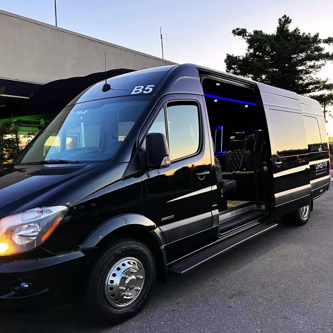 Executive Limousine Vans