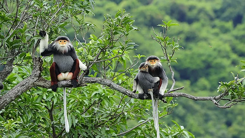 Con Dao National Park & Nature Trails