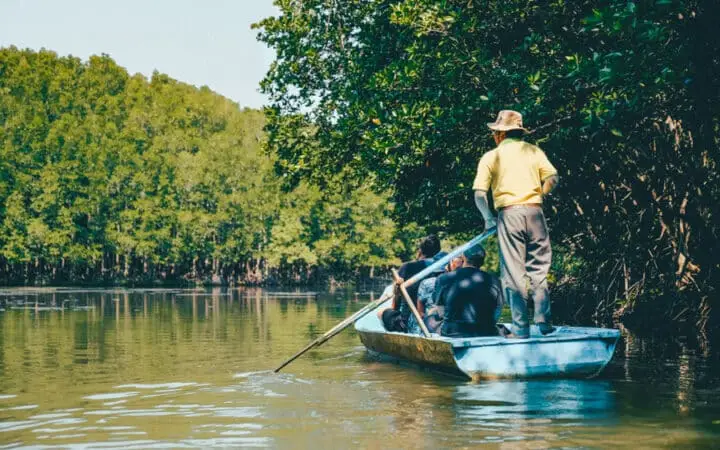 Can Gio Biosphere Reserve & Mangrove Wildlife Expedition