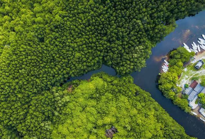 Can Gio Mangrove Biosphere