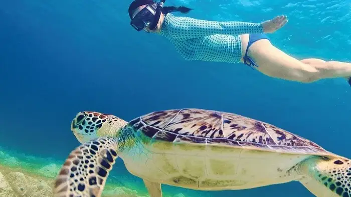 Con Dao Marine Snorkeling & Coral Reef Expedition
